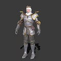 Commander of the Royal Knights Knight Captain Warrior Guard 3d model