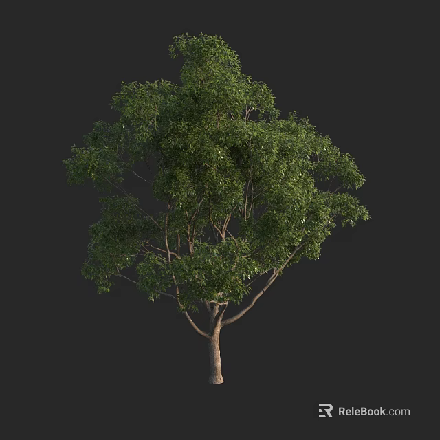 Tall Green Arbor With Lush Foliage And Sturdy Trunk In Dark Background 3d model 