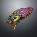 Colorful Beetle With Spotted Body And Vibrant Red Green Yellow Details