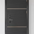 Modern Hinged Doors With Three Unique Panel Designs And Dark Finishes 3d model