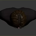 Realistic 3D Male Character Bust With Brown Hair And Dark T-Shirt