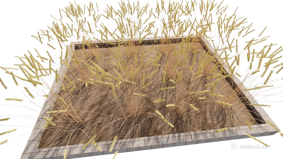 Yellow Grass Plants Growing In Square Planter For Natural Outdoor Decor 3d model 
