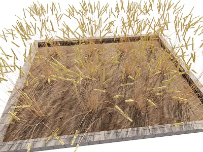 Yellow Grass Plants Growing In Square Planter For Natural Outdoor Decor 3d model