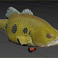 Vibrant Freshwater Fish With Yellow Body Black Spots And Red Fins And Eyes