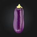 Fresh Whole Purple Eggplant with Glossy Skin on Black Background