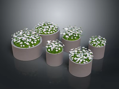 Small White Flowers Growing in Multiple Gray Pots with Green Leaves 3d model