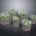 Small White Flowers Growing in Multiple Gray Pots with Green Leaves
