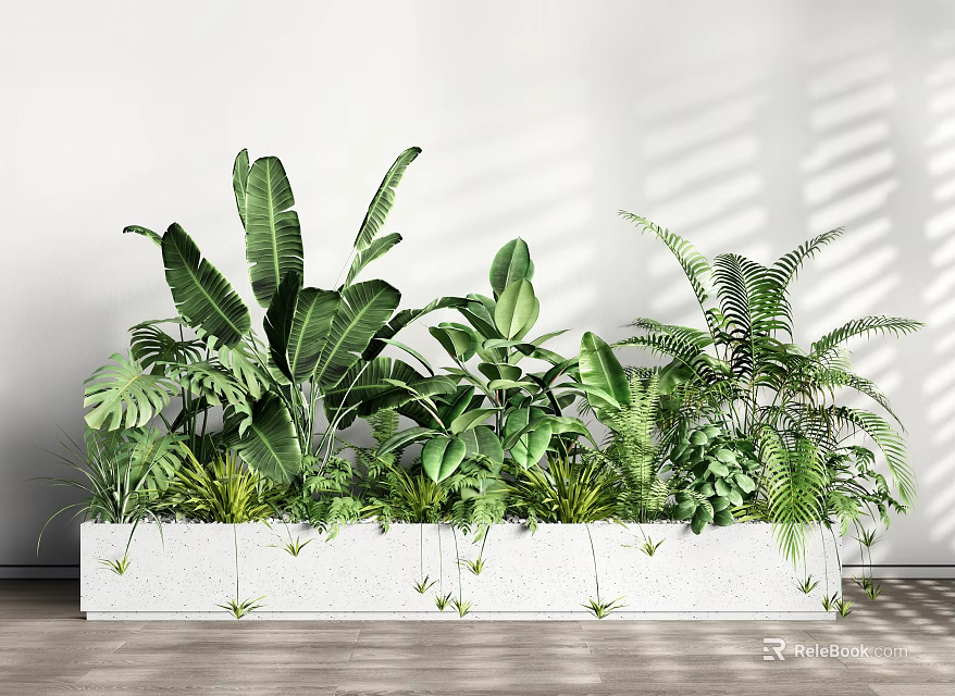 Potted Plants With Various Green Leaves Ferns In White Long Planter On Wooden Floor 3d model 
