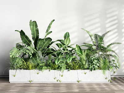 Potted Plants With Various Green Leaves Ferns In White Long Planter On Wooden Floor 3d model