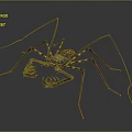 Realistic Scorpion With Long Legs And Patterned Carapace Body Structure 3d model