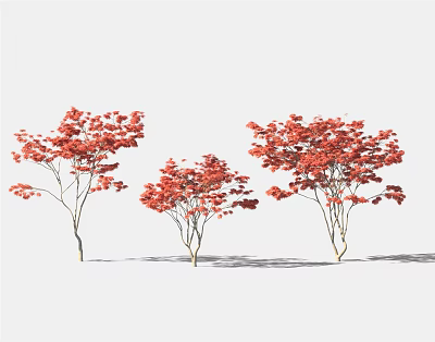 Three Vibrant Trees With Red Leaves Against White Background And Shadows 3d model