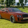 Red Bentley Sports Car Parked On Green Grass Field With Trees And Distant Mountains