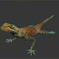 Lizard Anime Lizard Chameleon Cartoon Lizard Reptile Cold Blooded Animal Reptile Class 3d model