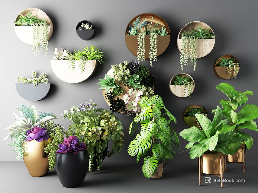 Bonsai and Potted Plants Decorative Indoor Greenery With Circular Wall Planters and Diverse Green Plants 3d model 