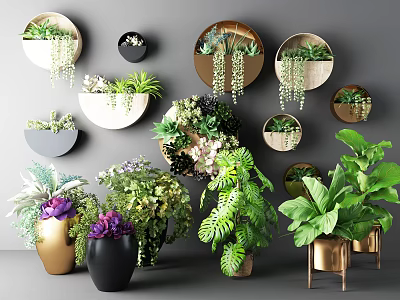 Bonsai and Potted Plants Decorative Indoor Greenery With Circular Wall Planters and Diverse Green Plants 3d model