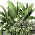 Lush Green Potted Plants Arrangement With Various Foliage Types In Modern Container
