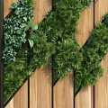 Lush Green Living Plant Wall With Wooden Slats Background And Dense Foliage