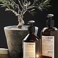 Eco Friendly Washing Daily Supplies Including Brown Bottles Olive Tree And Small Brush