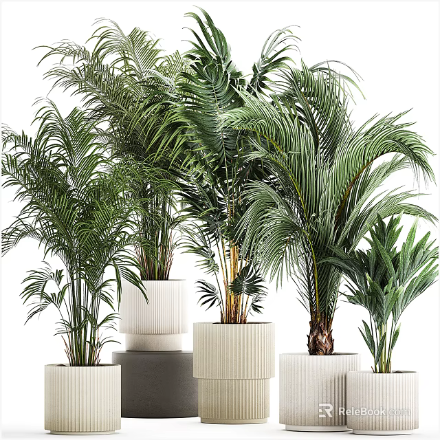 Various Lush Green Potted Plants With Tropical Leaves In Decorative White Planters 3d model 