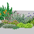 Colorful Garden Flowers with Large Green Leaves Purple Pink Yellow Blooms and Greenery Plants
