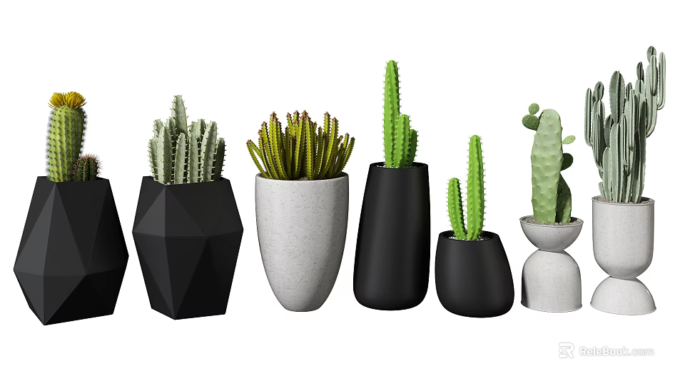 Bonsai Potted Cactus Plants With Various Geometric Design Black And White Ceramic Planters 3d model 