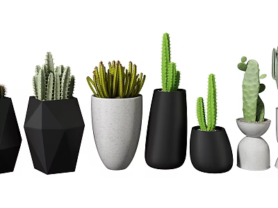 Bonsai Potted Cactus Plants With Various Geometric Design Black And White Ceramic Planters 3d model