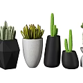 Bonsai Potted Cactus Plants With Various Geometric Design Black And White Ceramic Planters