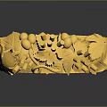 Elegant Golden Ring With Exquisite Design And Intricate Decorative Patterns
