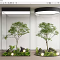 Indoor Landscape With Transparent Glass Containers Trees Stones Green Plants And Small Lights