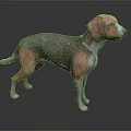Brown and Purple Dog 3D Model Standing on Dark Shiny Background Surface
