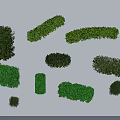 Various Shaped Green Garden Shrubs Featuring Round Rectangular Arched And Compact Forms 3d model