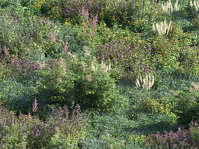 Lush Green Shrubs Growing With Assorted Colorful Flowers And Various Herbaceous Plants 3d model