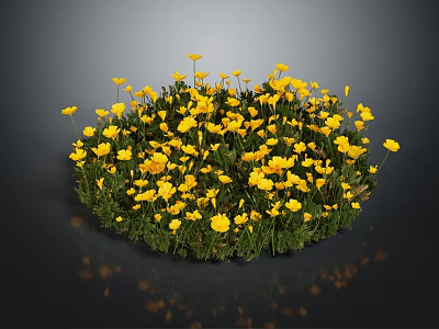 Vibrant Yellow Flowering Plants with Green Leaves in Lush Fresh Cluster 3d model