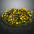 Vibrant Yellow Flowering Plants with Green Leaves in Lush Fresh Cluster
