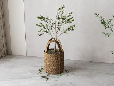 Bonsai Potted Plant in Woven Basket with Green Leaves Scattered on Gray Floor 3d model