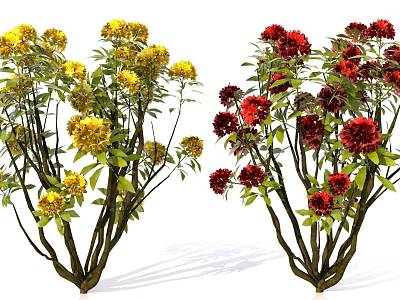 Blooming Yellow And Red Garden Flowers With Green Leaves And Stems 3d model