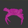 Vibrant Spotted Crab With Large Claws And Colorful Shell On Dark Surface