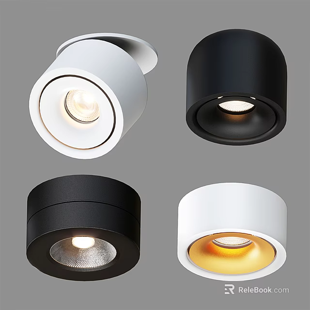 Modern Downlights and Spotlights in Black White for Stylish Home Ceiling Lighting 3d model 