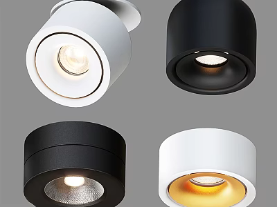 Modern Downlights and Spotlights in Black White for Stylish Home Ceiling Lighting 3d model