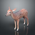 Realistic 3D Fawn Model Standing With Brown And White Spots On Black Background With Reflection