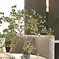 Elegant Modern Living Dining Room Interior With Sofa Round Coffee Table And Chandelier