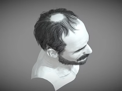 Balding Man With Beard Side View 3D Sculpted Head And Neck In Monochrome 3d model