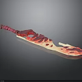 Unique Fantasy Sword With Pink Red Flame Pattern Skeletal Handle And Glossy Blade