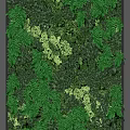 Living Green Wall Design With Lush Ferns Various Plants And Natural Foliage