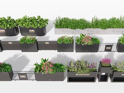 Various Flowers And Green Plants In Black Planters With Herb And Flower Combinations 3d model