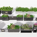 Various Flowers And Green Plants In Black Planters With Herb And Flower Combinations
