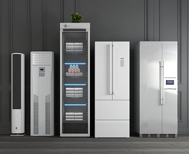 Modern Refrigerator Household Double Open Refrigerator Single Open Refrigerator Intelligent Refrigerator Vertical Refrigerator 3d model