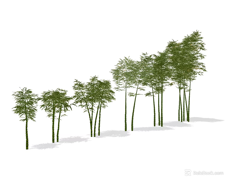 Row of Bamboo Plants with Various Heights and Lush Green Leaves 3d model 