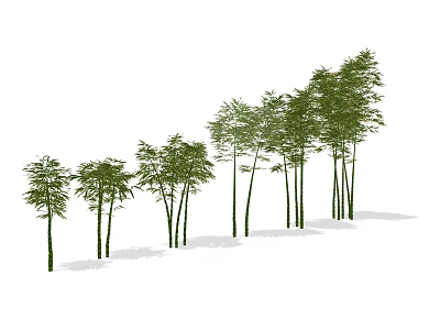 Row of Bamboo Plants with Various Heights and Lush Green Leaves 3d model