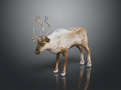 Realistic Reindeer Sculpture With Large Antlers Brown White Fur Standing On Reflective Surface 3d model